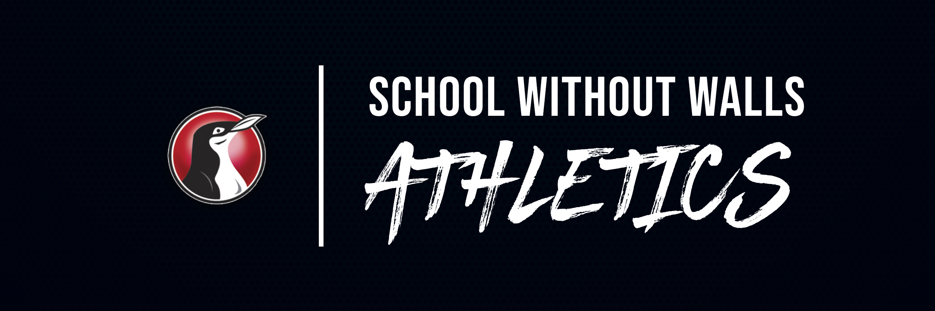 School Without Walls HS Athletics